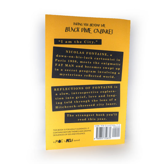 Reflections of Fontaine (Paperback)